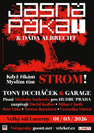 JP-Lucerna 2026 - A1poster-def-tisk__ 28-1.jpg